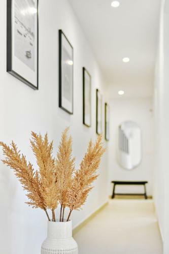 Apartment Buena Vista