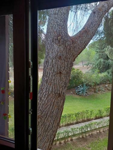 Apartamento Naturaleza Viva