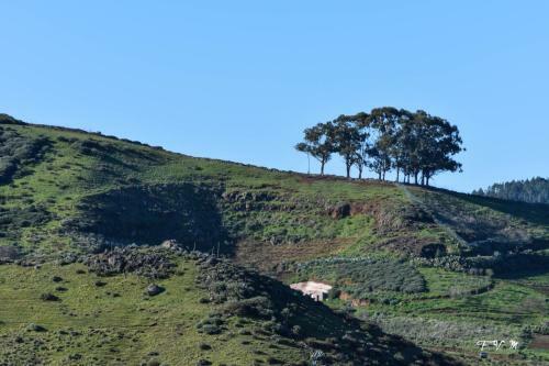 Casa Rural Zalemy
