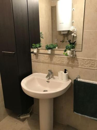 Bonito Apartamento 1 Dormitorio: Piscina Y Parkin