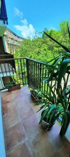 Apartamento Donostia Green+parking