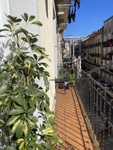 Bella Easo Apartamento