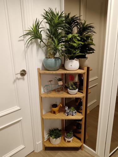 Apartamento Piso Con Terraza Junto A La Playa
