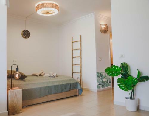 Isla Verde Studio Apartment Green Park