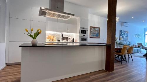 Apartment On La Concha Beach - Villa Iru