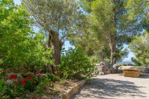 Villa El Cipr�s