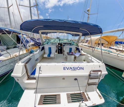 Evasion