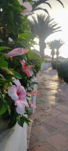 Promenade Paradise Apartment