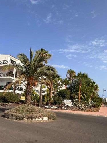 Opuncja Apartament