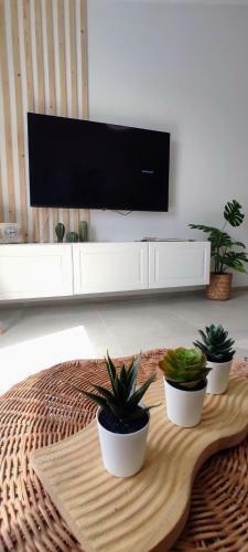 Opuncja Apartament