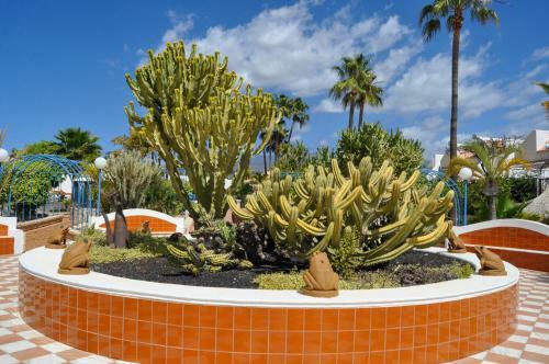 Apartamento The Palms Golf Del Sur - Casa Andromeda