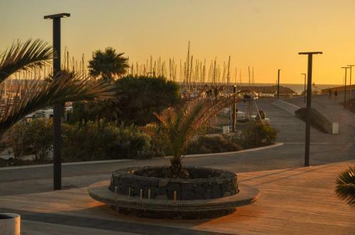 Apartamento The Palms Golf Del Sur - Casa Andromeda