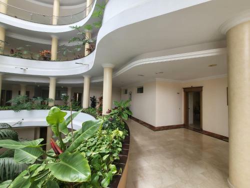 Apartamento El Nautico Coral Suites