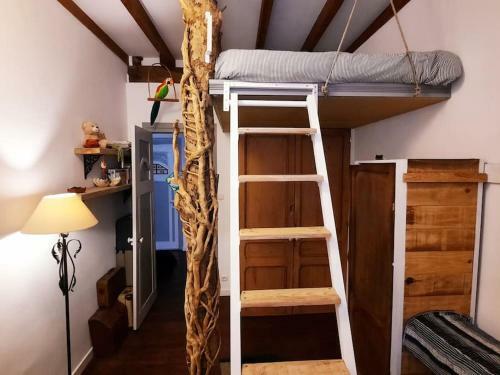 Apartamento La Casa Del �rbol