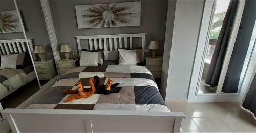 Apartamento Edificio Ca�adas