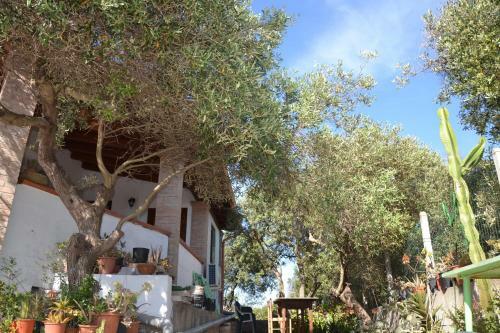 Bed & Breakfast Mi Casa Es Tu Casa 79