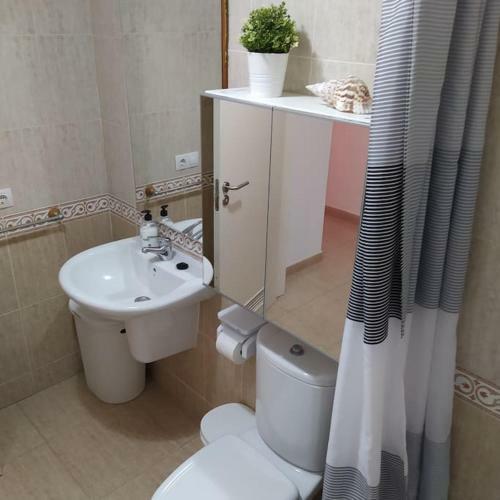 Apartamento Iza�a