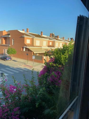 Paz Y Tranquilidad, A Un Paso De Sevilla