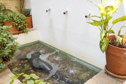 Bed & Breakfast La Casa 1832 Boutique