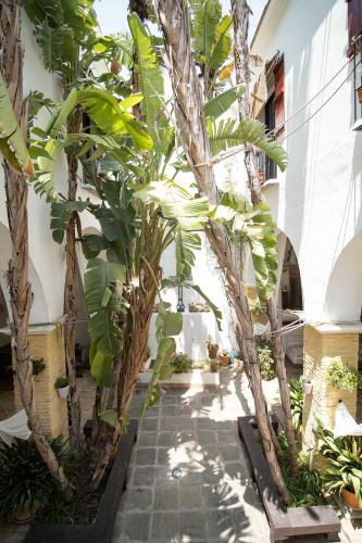 Bed & Breakfast La Casa 1832 Boutique