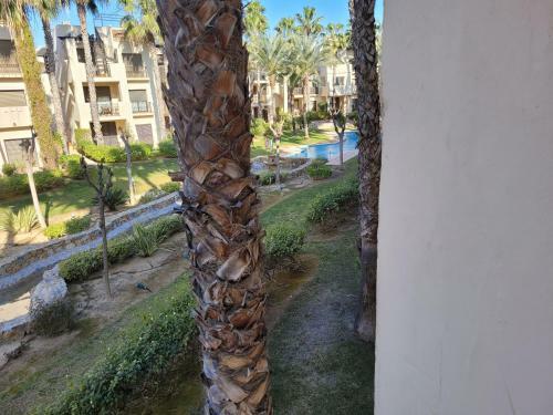 Apartamento El Oasis De Las Palmeras @ Roda Golf & Beach Resort