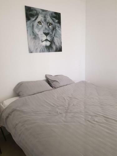 Apartamento Roda Golf Penthouse