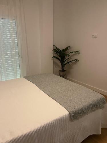 Apartamentos Larios Centro