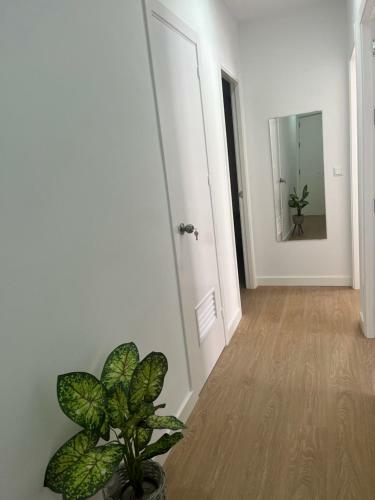 Apartamentos Larios Centro