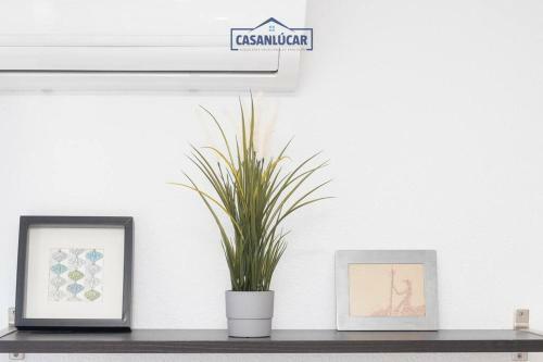 Apartamento Muro Alto