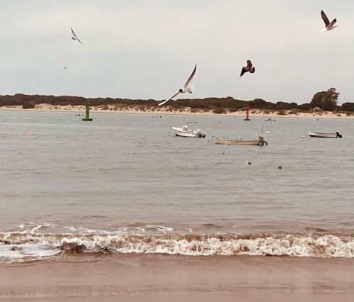 Al Sur Del Sur