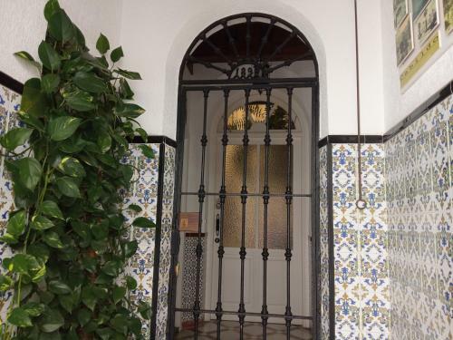 Hotel Cero Estrellas Cabildo