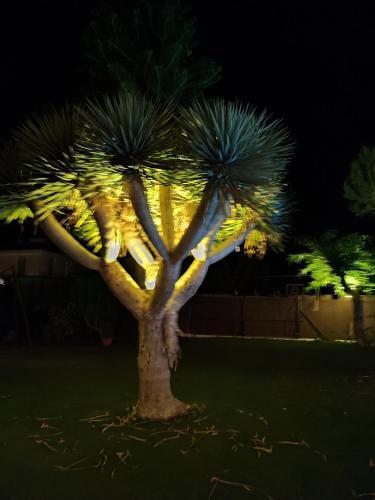 El Retiro