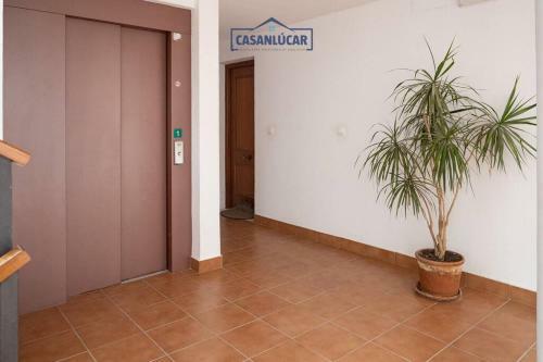 Apartamento Regina De Menta