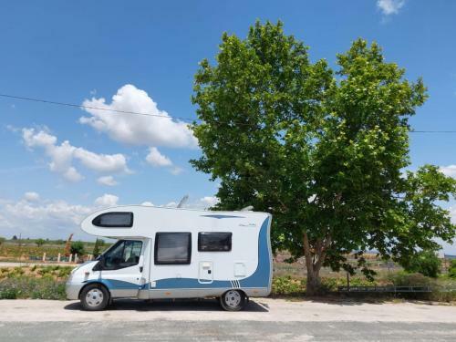 Autovan Ibz