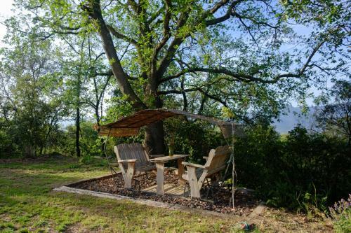 Villa Arc De Can Puig Luxury Holiday Home In Catalonia