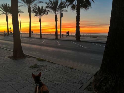 D�plex Junto A La Playa