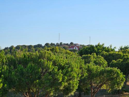 Apartamento Sol Y Playa