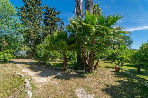 Villa Sa Teulera