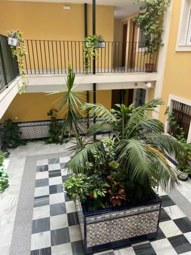 Apartamento Plata Real