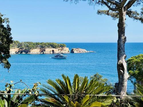 Maset Costabravasi