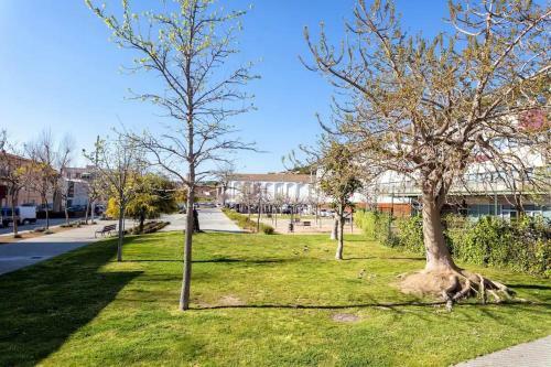 Hauzify I Apartament Diana