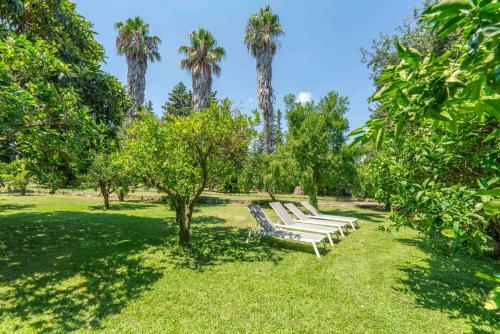 Sencelles - 39980 Mallorca