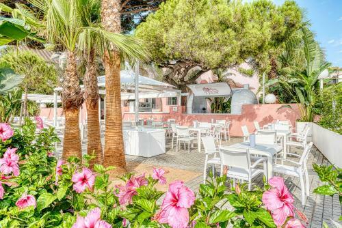 The Pink Elephant Hotel