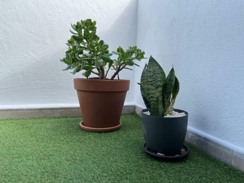 Apartamento �tico By Marea Urban