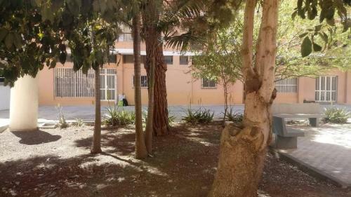 Apartamento Loft-la Laguna Centro