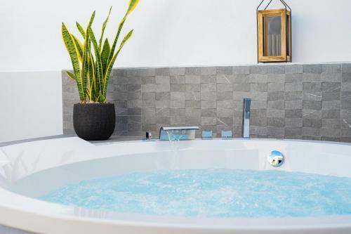 Apartamento Laguna Home & Suites