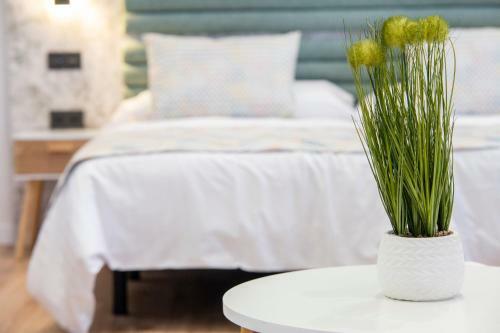 Apartamento Laguna Home & Suites