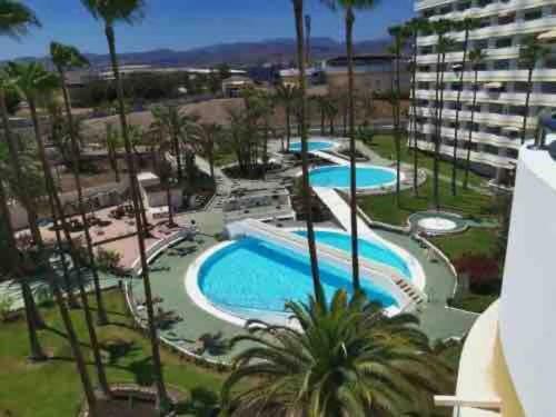 Paraiso Designer Conditioned Apartment With Terrace