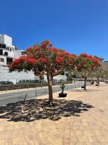 Apartamento Koka Ruby - Playa Del Ingles