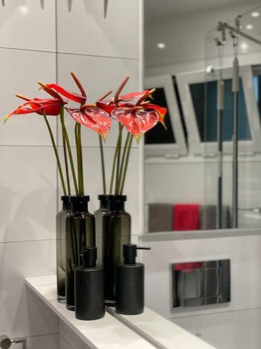 Apartamento Koka Ruby - Playa Del Ingles
